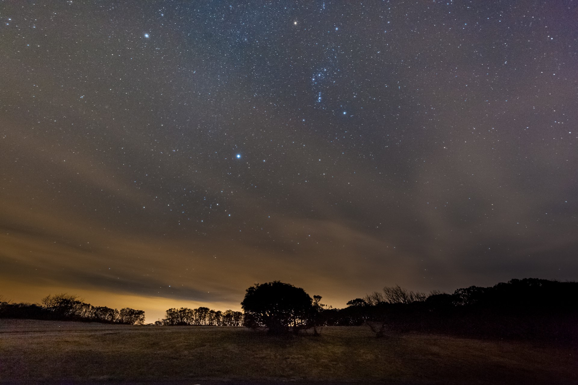 Sirivs brillando en primer plano con la constelación de Orión en el horizonte